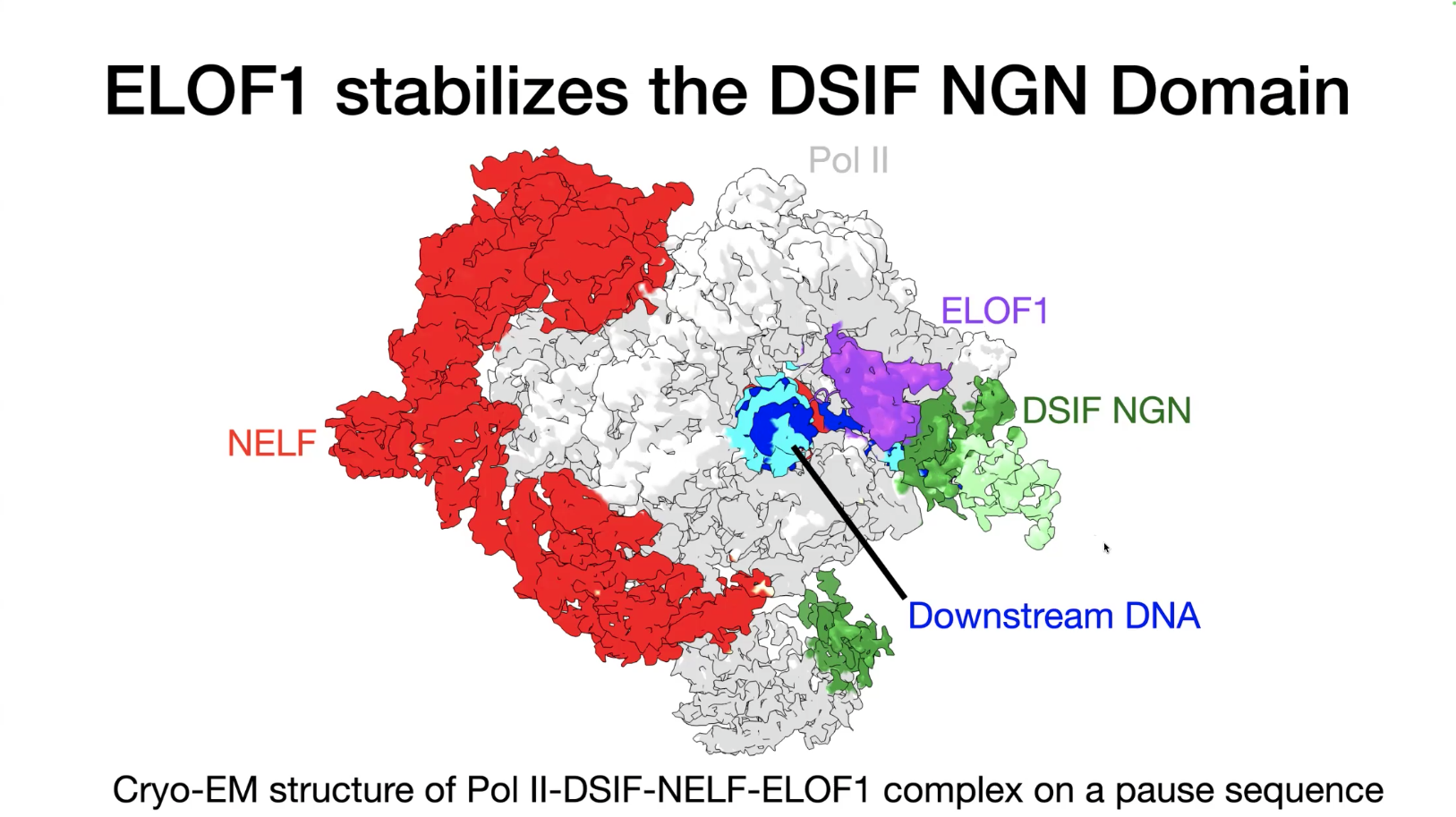 CCeMMP Seminar Series – A/Prof. Seychelle Vos – 17 February 2026